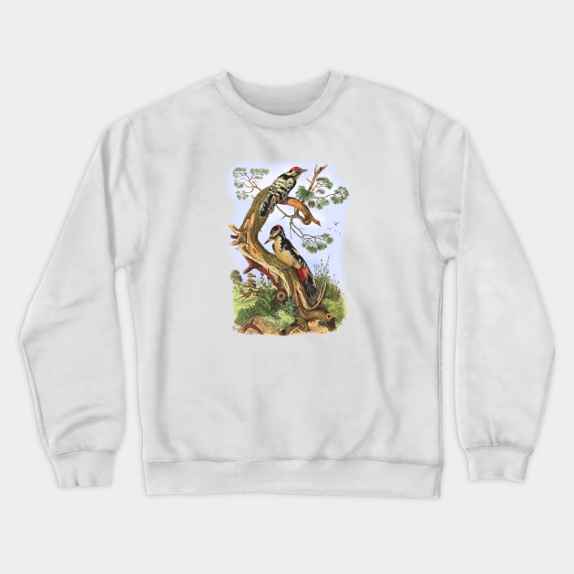 WOODPECKERS Crewneck Sweatshirt by Biophilia